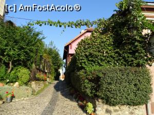 [P33] Casa Cositorarului - pensiunea și cele două terase, aflate de o parte și de alta a străduței » foto by Cris
 - 
<span class="allrVoted glyphicon glyphicon-heart hidden" id="av842879"></span>
<a class="m-l-10 hidden" id="sv842879" onclick="voting_Foto_DelVot(,842879,7288)" role="button">șterge vot <span class="glyphicon glyphicon-remove"></span></a>
<a id="v9842879" class=" c-red"  onclick="voting_Foto_SetVot(842879)" role="button"><span class="glyphicon glyphicon-heart-empty"></span> <b>LIKE</b> = Votează poza</a> <img class="hidden"  id="f842879W9" src="/imagini/loader.gif" border="0" /><span class="AjErrMes hidden" id="e842879ErM"></span>