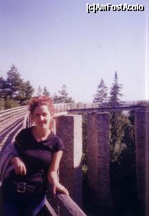 [P02] Putin ametita de inaltimea podului » foto by adri-nico
 - 
<span class="allrVoted glyphicon glyphicon-heart hidden" id="av278072"></span>
<a class="m-l-10 hidden" id="sv278072" onclick="voting_Foto_DelVot(,278072,7301)" role="button">șterge vot <span class="glyphicon glyphicon-remove"></span></a>
<a id="v9278072" class=" c-red"  onclick="voting_Foto_SetVot(278072)" role="button"><span class="glyphicon glyphicon-heart-empty"></span> <b>LIKE</b> = Votează poza</a> <img class="hidden"  id="f278072W9" src="/imagini/loader.gif" border="0" /><span class="AjErrMes hidden" id="e278072ErM"></span>