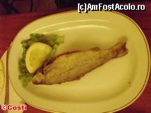 [P14] Păstrăv prăjit cu lămâie. Provenind de la o păstrăvărie locală, cu siguranţă este proaspăt. » foto by Costi
 - 
<span class="allrVoted glyphicon glyphicon-heart hidden" id="av318435"></span>
<a class="m-l-10 hidden" id="sv318435" onclick="voting_Foto_DelVot(,318435,7327)" role="button">șterge vot <span class="glyphicon glyphicon-remove"></span></a>
<a id="v9318435" class=" c-red"  onclick="voting_Foto_SetVot(318435)" role="button"><span class="glyphicon glyphicon-heart-empty"></span> <b>LIKE</b> = Votează poza</a> <img class="hidden"  id="f318435W9" src="/imagini/loader.gif" border="0" /><span class="AjErrMes hidden" id="e318435ErM"></span>