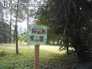 [P13] Parcul dendrologic - Dofteana. Informații pentru vizitatori. » foto by iulianic
 - 
<span class="allrVoted glyphicon glyphicon-heart hidden" id="av1476239"></span>
<a class="m-l-10 hidden" id="sv1476239" onclick="voting_Foto_DelVot(,1476239,7361)" role="button">șterge vot <span class="glyphicon glyphicon-remove"></span></a>
<a id="v91476239" class=" c-red"  onclick="voting_Foto_SetVot(1476239)" role="button"><span class="glyphicon glyphicon-heart-empty"></span> <b>LIKE</b> = Votează poza</a> <img class="hidden"  id="f1476239W9" src="/imagini/loader.gif" border="0" /><span class="AjErrMes hidden" id="e1476239ErM"></span>