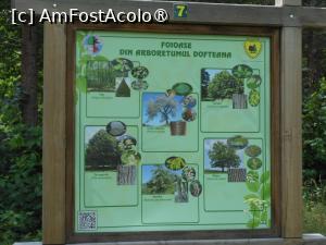 [P18] Parcul dendrologic - Dofteana. Informații. » foto by iulianic
 - 
<span class="allrVoted glyphicon glyphicon-heart hidden" id="av1476244"></span>
<a class="m-l-10 hidden" id="sv1476244" onclick="voting_Foto_DelVot(,1476244,7361)" role="button">șterge vot <span class="glyphicon glyphicon-remove"></span></a>
<a id="v91476244" class=" c-red"  onclick="voting_Foto_SetVot(1476244)" role="button"><span class="glyphicon glyphicon-heart-empty"></span> <b>LIKE</b> = Votează poza</a> <img class="hidden"  id="f1476244W9" src="/imagini/loader.gif" border="0" /><span class="AjErrMes hidden" id="e1476244ErM"></span>