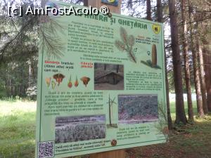 [P25] Parcul dendrologic - Dofteana. Informații. » foto by iulianic
 - 
<span class="allrVoted glyphicon glyphicon-heart hidden" id="av1476251"></span>
<a class="m-l-10 hidden" id="sv1476251" onclick="voting_Foto_DelVot(,1476251,7361)" role="button">șterge vot <span class="glyphicon glyphicon-remove"></span></a>
<a id="v91476251" class=" c-red"  onclick="voting_Foto_SetVot(1476251)" role="button"><span class="glyphicon glyphicon-heart-empty"></span> <b>LIKE</b> = Votează poza</a> <img class="hidden"  id="f1476251W9" src="/imagini/loader.gif" border="0" /><span class="AjErrMes hidden" id="e1476251ErM"></span>