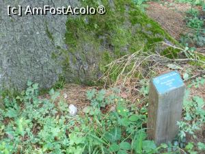 [P03] Parcul dendrologic - Dofteana. Informații pentru vizitatori. » foto by iulianic
 - 
<span class="allrVoted glyphicon glyphicon-heart hidden" id="av1476229"></span>
<a class="m-l-10 hidden" id="sv1476229" onclick="voting_Foto_DelVot(,1476229,7361)" role="button">șterge vot <span class="glyphicon glyphicon-remove"></span></a>
<a id="v91476229" class=" c-red"  onclick="voting_Foto_SetVot(1476229)" role="button"><span class="glyphicon glyphicon-heart-empty"></span> <b>LIKE</b> = Votează poza</a> <img class="hidden"  id="f1476229W9" src="/imagini/loader.gif" border="0" /><span class="AjErrMes hidden" id="e1476229ErM"></span>