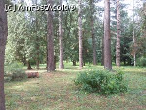 [P04] Parcul dendrologic - Dofteana. În pădure. » foto by iulianic
 - 
<span class="allrVoted glyphicon glyphicon-heart hidden" id="av1476230"></span>
<a class="m-l-10 hidden" id="sv1476230" onclick="voting_Foto_DelVot(,1476230,7361)" role="button">șterge vot <span class="glyphicon glyphicon-remove"></span></a>
<a id="v91476230" class=" c-red"  onclick="voting_Foto_SetVot(1476230)" role="button"><span class="glyphicon glyphicon-heart-empty"></span> <b>LIKE</b> = Votează poza</a> <img class="hidden"  id="f1476230W9" src="/imagini/loader.gif" border="0" /><span class="AjErrMes hidden" id="e1476230ErM"></span>