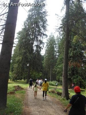 [P06] Parcul dendrologic - Dofteana. Drumul din pădure. » foto by iulianic
 - 
<span class="allrVoted glyphicon glyphicon-heart hidden" id="av1476232"></span>
<a class="m-l-10 hidden" id="sv1476232" onclick="voting_Foto_DelVot(,1476232,7361)" role="button">șterge vot <span class="glyphicon glyphicon-remove"></span></a>
<a id="v91476232" class=" c-red"  onclick="voting_Foto_SetVot(1476232)" role="button"><span class="glyphicon glyphicon-heart-empty"></span> <b>LIKE</b> = Votează poza</a> <img class="hidden"  id="f1476232W9" src="/imagini/loader.gif" border="0" /><span class="AjErrMes hidden" id="e1476232ErM"></span>