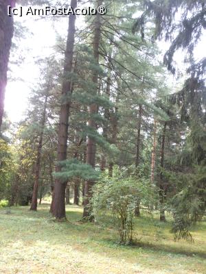 [P08] Parcul dendrologic - Dofteana. În pădure. » foto by iulianic
 - 
<span class="allrVoted glyphicon glyphicon-heart hidden" id="av1476234"></span>
<a class="m-l-10 hidden" id="sv1476234" onclick="voting_Foto_DelVot(,1476234,7361)" role="button">șterge vot <span class="glyphicon glyphicon-remove"></span></a>
<a id="v91476234" class=" c-red"  onclick="voting_Foto_SetVot(1476234)" role="button"><span class="glyphicon glyphicon-heart-empty"></span> <b>LIKE</b> = Votează poza</a> <img class="hidden"  id="f1476234W9" src="/imagini/loader.gif" border="0" /><span class="AjErrMes hidden" id="e1476234ErM"></span>