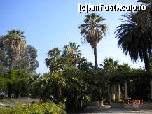 [P12] Pe aleile parcului plin de palmieri si flori » foto by Alina Morar
 - 
<span class="allrVoted glyphicon glyphicon-heart hidden" id="av135177"></span>
<a class="m-l-10 hidden" id="sv135177" onclick="voting_Foto_DelVot(,135177,7390)" role="button">șterge vot <span class="glyphicon glyphicon-remove"></span></a>
<a id="v9135177" class=" c-red"  onclick="voting_Foto_SetVot(135177)" role="button"><span class="glyphicon glyphicon-heart-empty"></span> <b>LIKE</b> = Votează poza</a> <img class="hidden"  id="f135177W9" src="/imagini/loader.gif" border="0" /><span class="AjErrMes hidden" id="e135177ErM"></span>