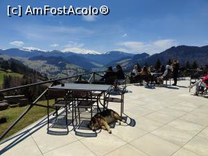 [P31] Amfiteatrul Transilvania; restaurantul » foto by crismis
 - 
<span class="allrVoted glyphicon glyphicon-heart hidden" id="av1383584"></span>
<a class="m-l-10 hidden" id="sv1383584" onclick="voting_Foto_DelVot(,1383584,7404)" role="button">șterge vot <span class="glyphicon glyphicon-remove"></span></a>
<a id="v91383584" class=" c-red"  onclick="voting_Foto_SetVot(1383584)" role="button"><span class="glyphicon glyphicon-heart-empty"></span> <b>LIKE</b> = Votează poza</a> <img class="hidden"  id="f1383584W9" src="/imagini/loader.gif" border="0" /><span class="AjErrMes hidden" id="e1383584ErM"></span>