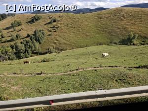 [P01] Panorame frumoase în drum spre Păltiniș » foto by Carmen Ion
 - 
<span class="allrVoted glyphicon glyphicon-heart hidden" id="av1511076"></span>
<a class="m-l-10 hidden" id="sv1511076" onclick="voting_Foto_DelVot(,1511076,7405)" role="button">șterge vot <span class="glyphicon glyphicon-remove"></span></a>
<a id="v91511076" class=" c-red"  onclick="voting_Foto_SetVot(1511076)" role="button"><span class="glyphicon glyphicon-heart-empty"></span> <b>LIKE</b> = Votează poza</a> <img class="hidden"  id="f1511076W9" src="/imagini/loader.gif" border="0" /><span class="AjErrMes hidden" id="e1511076ErM"></span>