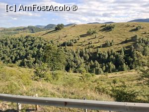 [P02] Panorame frumoase în drum spre Păltiniș » foto by Carmen Ion
 - 
<span class="allrVoted glyphicon glyphicon-heart hidden" id="av1511077"></span>
<a class="m-l-10 hidden" id="sv1511077" onclick="voting_Foto_DelVot(,1511077,7405)" role="button">șterge vot <span class="glyphicon glyphicon-remove"></span></a>
<a id="v91511077" class=" c-red"  onclick="voting_Foto_SetVot(1511077)" role="button"><span class="glyphicon glyphicon-heart-empty"></span> <b>LIKE</b> = Votează poza</a> <img class="hidden"  id="f1511077W9" src="/imagini/loader.gif" border="0" /><span class="AjErrMes hidden" id="e1511077ErM"></span>