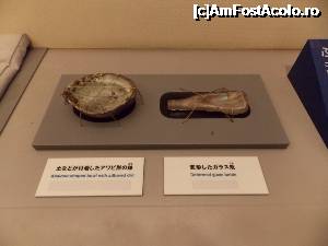[P45] Hiroshima, Parcul Memorial al Păcii, Muzeul Memorial al Păcii, efecte datorate căldurii » foto by mprofeanu
 - 
<span class="allrVoted glyphicon glyphicon-heart hidden" id="av699502"></span>
<a class="m-l-10 hidden" id="sv699502" onclick="voting_Foto_DelVot(,699502,7440)" role="button">șterge vot <span class="glyphicon glyphicon-remove"></span></a>
<a id="v9699502" class=" c-red"  onclick="voting_Foto_SetVot(699502)" role="button"><span class="glyphicon glyphicon-heart-empty"></span> <b>LIKE</b> = Votează poza</a> <img class="hidden"  id="f699502W9" src="/imagini/loader.gif" border="0" /><span class="AjErrMes hidden" id="e699502ErM"></span>