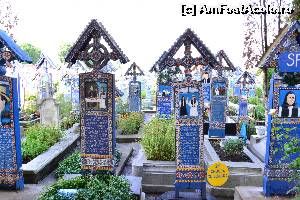 [P06] Săpânţa - Cimitirul Vesel - morminte şi cruci » foto by dixi220
 - 
<span class="allrVoted glyphicon glyphicon-heart hidden" id="av553024"></span>
<a class="m-l-10 hidden" id="sv553024" onclick="voting_Foto_DelVot(,553024,7494)" role="button">șterge vot <span class="glyphicon glyphicon-remove"></span></a>
<a id="v9553024" class=" c-red"  onclick="voting_Foto_SetVot(553024)" role="button"><span class="glyphicon glyphicon-heart-empty"></span> <b>LIKE</b> = Votează poza</a> <img class="hidden"  id="f553024W9" src="/imagini/loader.gif" border="0" /><span class="AjErrMes hidden" id="e553024ErM"></span>