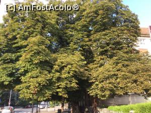 [P29] Baia Mare - Dar care este insa la fel de frumos » foto by mishu
 - 
<span class="allrVoted glyphicon glyphicon-heart hidden" id="av901355"></span>
<a class="m-l-10 hidden" id="sv901355" onclick="voting_Foto_DelVot(,901355,7527)" role="button">șterge vot <span class="glyphicon glyphicon-remove"></span></a>
<a id="v9901355" class=" c-red"  onclick="voting_Foto_SetVot(901355)" role="button"><span class="glyphicon glyphicon-heart-empty"></span> <b>LIKE</b> = Votează poza</a> <img class="hidden"  id="f901355W9" src="/imagini/loader.gif" border="0" /><span class="AjErrMes hidden" id="e901355ErM"></span>