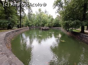 [P06] Lac - Parcul Municipal „Regina Maria”. » foto by tata123 🔱
 - 
<span class="allrVoted glyphicon glyphicon-heart hidden" id="av1344369"></span>
<a class="m-l-10 hidden" id="sv1344369" onclick="voting_Foto_DelVot(,1344369,7527)" role="button">șterge vot <span class="glyphicon glyphicon-remove"></span></a>
<a id="v91344369" class=" c-red"  onclick="voting_Foto_SetVot(1344369)" role="button"><span class="glyphicon glyphicon-heart-empty"></span> <b>LIKE</b> = Votează poza</a> <img class="hidden"  id="f1344369W9" src="/imagini/loader.gif" border="0" /><span class="AjErrMes hidden" id="e1344369ErM"></span>