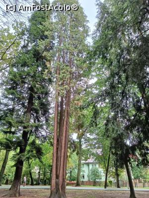 [P09] Parcul Municipal „Regina Maria”. » foto by tata123 🔱
 - 
<span class="allrVoted glyphicon glyphicon-heart hidden" id="av1344372"></span>
<a class="m-l-10 hidden" id="sv1344372" onclick="voting_Foto_DelVot(,1344372,7527)" role="button">șterge vot <span class="glyphicon glyphicon-remove"></span></a>
<a id="v91344372" class=" c-red"  onclick="voting_Foto_SetVot(1344372)" role="button"><span class="glyphicon glyphicon-heart-empty"></span> <b>LIKE</b> = Votează poza</a> <img class="hidden"  id="f1344372W9" src="/imagini/loader.gif" border="0" /><span class="AjErrMes hidden" id="e1344372ErM"></span>