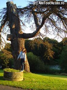 [P08]  -- <small>// FĂRĂ DESCRIERE</small> » foto by marutz*
 - 
<span class="allrVoted glyphicon glyphicon-heart hidden" id="av140300"></span>
<a class="m-l-10 hidden" id="sv140300" onclick="voting_Foto_DelVot(,140300,7528)" role="button">șterge vot <span class="glyphicon glyphicon-remove"></span></a>
<a id="v9140300" class=" c-red"  onclick="voting_Foto_SetVot(140300)" role="button"><span class="glyphicon glyphicon-heart-empty"></span> <b>LIKE</b> = Votează poza</a> <img class="hidden"  id="f140300W9" src="/imagini/loader.gif" border="0" /><span class="AjErrMes hidden" id="e140300ErM"></span>