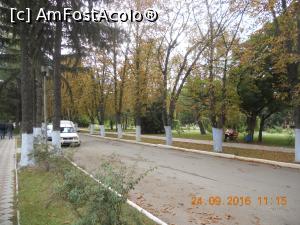 [P18] prin Parcul Central » foto by zlatna
 - 
<span class="allrVoted glyphicon glyphicon-heart hidden" id="av807463"></span>
<a class="m-l-10 hidden" id="sv807463" onclick="voting_Foto_DelVot(,807463,7530)" role="button">șterge vot <span class="glyphicon glyphicon-remove"></span></a>
<a id="v9807463" class=" c-red"  onclick="voting_Foto_SetVot(807463)" role="button"><span class="glyphicon glyphicon-heart-empty"></span> <b>LIKE</b> = Votează poza</a> <img class="hidden"  id="f807463W9" src="/imagini/loader.gif" border="0" /><span class="AjErrMes hidden" id="e807463ErM"></span>