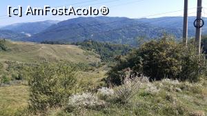 [P48] Vedere panoramică - în depărtare se zărește Lacul Paltinu » foto by Carmen Ion
 - 
<span class="allrVoted glyphicon glyphicon-heart hidden" id="av1196028"></span>
<a class="m-l-10 hidden" id="sv1196028" onclick="voting_Foto_DelVot(,1196028,7539)" role="button">șterge vot <span class="glyphicon glyphicon-remove"></span></a>
<a id="v91196028" class=" c-red"  onclick="voting_Foto_SetVot(1196028)" role="button"><span class="glyphicon glyphicon-heart-empty"></span> <b>LIKE</b> = Votează poza</a> <img class="hidden"  id="f1196028W9" src="/imagini/loader.gif" border="0" /><span class="AjErrMes hidden" id="e1196028ErM"></span>