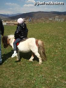 [P01] Calul mic si calaretul si mai mic ...o plimbare cu poneiul 5 lei. » foto by TORA INGRID
 - 
<span class="allrVoted glyphicon glyphicon-heart hidden" id="av195182"></span>
<a class="m-l-10 hidden" id="sv195182" onclick="voting_Foto_DelVot(,195182,7539)" role="button">șterge vot <span class="glyphicon glyphicon-remove"></span></a>
<a id="v9195182" class=" c-red"  onclick="voting_Foto_SetVot(195182)" role="button"><span class="glyphicon glyphicon-heart-empty"></span> <b>LIKE</b> = Votează poza</a> <img class="hidden"  id="f195182W9" src="/imagini/loader.gif" border="0" /><span class="AjErrMes hidden" id="e195182ErM"></span>