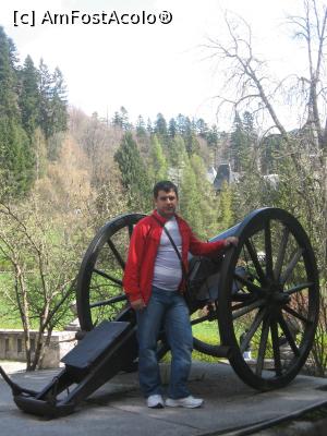 [P04] am facut poza si cu un tun » foto by zlatna
 - 
<span class="allrVoted glyphicon glyphicon-heart hidden" id="av786494"></span>
<a class="m-l-10 hidden" id="sv786494" onclick="voting_Foto_DelVot(,786494,7548)" role="button">șterge vot <span class="glyphicon glyphicon-remove"></span></a>
<a id="v9786494" class=" c-red"  onclick="voting_Foto_SetVot(786494)" role="button"><span class="glyphicon glyphicon-heart-empty"></span> <b>LIKE</b> = Votează poza</a> <img class="hidden"  id="f786494W9" src="/imagini/loader.gif" border="0" /><span class="AjErrMes hidden" id="e786494ErM"></span>