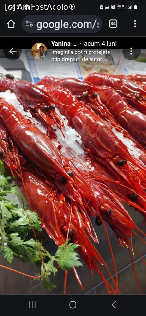 [P13]  -- <small>// FĂRĂ DESCRIERE</small> » foto by kmy
 - 
<span class="allrVoted glyphicon glyphicon-heart hidden" id="av1515551"></span>
<a class="m-l-10 hidden" id="sv1515551" onclick="voting_Foto_DelVot(,1515551,7560)" role="button">șterge vot <span class="glyphicon glyphicon-remove"></span></a>
<a id="v91515551" class=" c-red"  onclick="voting_Foto_SetVot(1515551)" role="button"><span class="glyphicon glyphicon-heart-empty"></span> <b>LIKE</b> = Votează poza</a> <img class="hidden"  id="f1515551W9" src="/imagini/loader.gif" border="0" /><span class="AjErrMes hidden" id="e1515551ErM"></span>