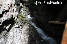 [P06] In caderi succesive,crezand ca a scapat... » foto by Alina53
 - 
<span class="allrVoted glyphicon glyphicon-heart hidden" id="av141509"></span>
<a class="m-l-10 hidden" id="sv141509" onclick="voting_Foto_DelVot(,141509,7577)" role="button">șterge vot <span class="glyphicon glyphicon-remove"></span></a>
<a id="v9141509" class=" c-red"  onclick="voting_Foto_SetVot(141509)" role="button"><span class="glyphicon glyphicon-heart-empty"></span> <b>LIKE</b> = Votează poza</a> <img class="hidden"  id="f141509W9" src="/imagini/loader.gif" border="0" /><span class="AjErrMes hidden" id="e141509ErM"></span>