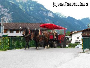 [P30] In Pertisau » foto by saxonul
 - 
<span class="allrVoted glyphicon glyphicon-heart hidden" id="av545479"></span>
<a class="m-l-10 hidden" id="sv545479" onclick="voting_Foto_DelVot(,545479,7577)" role="button">șterge vot <span class="glyphicon glyphicon-remove"></span></a>
<a id="v9545479" class=" c-red"  onclick="voting_Foto_SetVot(545479)" role="button"><span class="glyphicon glyphicon-heart-empty"></span> <b>LIKE</b> = Votează poza</a> <img class="hidden"  id="f545479W9" src="/imagini/loader.gif" border="0" /><span class="AjErrMes hidden" id="e545479ErM"></span>