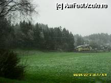 [P12] ninge si campiile verzi devin tot mai albe. » foto by adryana
 - 
<span class="allrVoted glyphicon glyphicon-heart hidden" id="av314724"></span>
<a class="m-l-10 hidden" id="sv314724" onclick="voting_Foto_DelVot(,314724,7577)" role="button">șterge vot <span class="glyphicon glyphicon-remove"></span></a>
<a id="v9314724" class=" c-red"  onclick="voting_Foto_SetVot(314724)" role="button"><span class="glyphicon glyphicon-heart-empty"></span> <b>LIKE</b> = Votează poza</a> <img class="hidden"  id="f314724W9" src="/imagini/loader.gif" border="0" /><span class="AjErrMes hidden" id="e314724ErM"></span>
