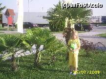 [P01]  -- <small>// FĂRĂ DESCRIERE</small> » foto by szik173
 - 
<span class="allrVoted glyphicon glyphicon-heart hidden" id="av154808"></span>
<a class="m-l-10 hidden" id="sv154808" onclick="voting_Foto_DelVot(,154808,7618)" role="button">șterge vot <span class="glyphicon glyphicon-remove"></span></a>
<a id="v9154808" class=" c-red"  onclick="voting_Foto_SetVot(154808)" role="button"><span class="glyphicon glyphicon-heart-empty"></span> <b>LIKE</b> = Votează poza</a> <img class="hidden"  id="f154808W9" src="/imagini/loader.gif" border="0" /><span class="AjErrMes hidden" id="e154808ErM"></span>