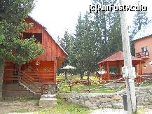 [P16]  -- <small>// FĂRĂ DESCRIERE</small> » foto by madalitza17
 - 
<span class="allrVoted glyphicon glyphicon-heart hidden" id="av143689"></span>
<a class="m-l-10 hidden" id="sv143689" onclick="voting_Foto_DelVot(,143689,7620)" role="button">șterge vot <span class="glyphicon glyphicon-remove"></span></a>
<a id="v9143689" class=" c-red"  onclick="voting_Foto_SetVot(143689)" role="button"><span class="glyphicon glyphicon-heart-empty"></span> <b>LIKE</b> = Votează poza</a> <img class="hidden"  id="f143689W9" src="/imagini/loader.gif" border="0" /><span class="AjErrMes hidden" id="e143689ErM"></span>