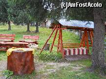 [P20]  -- <small>// FĂRĂ DESCRIERE</small> » foto by madalitza17
 - 
<span class="allrVoted glyphicon glyphicon-heart hidden" id="av143693"></span>
<a class="m-l-10 hidden" id="sv143693" onclick="voting_Foto_DelVot(,143693,7620)" role="button">șterge vot <span class="glyphicon glyphicon-remove"></span></a>
<a id="v9143693" class=" c-red"  onclick="voting_Foto_SetVot(143693)" role="button"><span class="glyphicon glyphicon-heart-empty"></span> <b>LIKE</b> = Votează poza</a> <img class="hidden"  id="f143693W9" src="/imagini/loader.gif" border="0" /><span class="AjErrMes hidden" id="e143693ErM"></span>