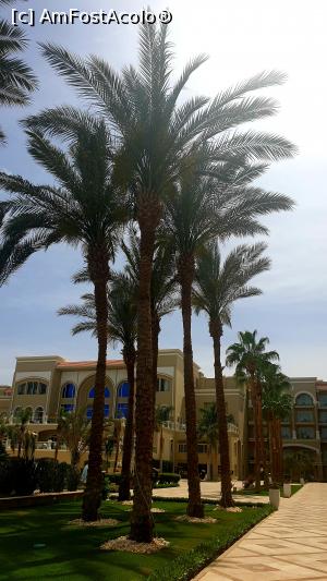 [P46] Prin resort, vedere de la mare către hotel - Premier Le Reve&spa » foto by k-lator
 - 
<span class="allrVoted glyphicon glyphicon-heart hidden" id="av1224045"></span>
<a class="m-l-10 hidden" id="sv1224045" onclick="voting_Foto_DelVot(,1224045,7643)" role="button">șterge vot <span class="glyphicon glyphicon-remove"></span></a>
<a id="v91224045" class=" c-red"  onclick="voting_Foto_SetVot(1224045)" role="button"><span class="glyphicon glyphicon-heart-empty"></span> <b>LIKE</b> = Votează poza</a> <img class="hidden"  id="f1224045W9" src="/imagini/loader.gif" border="0" /><span class="AjErrMes hidden" id="e1224045ErM"></span>