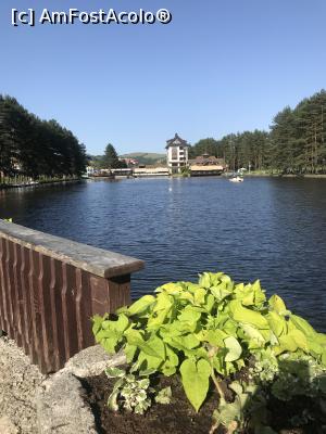 P02 [JUL-2019] Zlatibor