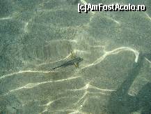 [P01]  -- <small>// FĂRĂ DESCRIERE</small> » foto by teststation
 - 
<span class="allrVoted glyphicon glyphicon-heart hidden" id="av146184"></span>
<a class="m-l-10 hidden" id="sv146184" onclick="voting_Foto_DelVot(,146184,7663)" role="button">șterge vot <span class="glyphicon glyphicon-remove"></span></a>
<a id="v9146184" class=" c-red"  onclick="voting_Foto_SetVot(146184)" role="button"><span class="glyphicon glyphicon-heart-empty"></span> <b>LIKE</b> = Votează poza</a> <img class="hidden"  id="f146184W9" src="/imagini/loader.gif" border="0" /><span class="AjErrMes hidden" id="e146184ErM"></span>