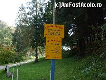[P08] pe malurile Bistritei se poate campa, langa drumeagul ce duce la Cabana » foto by valimi
 - 
<span class="allrVoted glyphicon glyphicon-heart hidden" id="av146207"></span>
<a class="m-l-10 hidden" id="sv146207" onclick="voting_Foto_DelVot(,146207,7664)" role="button">șterge vot <span class="glyphicon glyphicon-remove"></span></a>
<a id="v9146207" class=" c-red"  onclick="voting_Foto_SetVot(146207)" role="button"><span class="glyphicon glyphicon-heart-empty"></span> <b>LIKE</b> = Votează poza</a> <img class="hidden"  id="f146207W9" src="/imagini/loader.gif" border="0" /><span class="AjErrMes hidden" id="e146207ErM"></span>