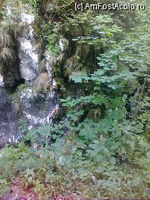 [P02] Cheile  Oltetului  in  zona  Pesterii  Polovragi » foto by silvia  vilcu*
 - 
<span class="allrVoted glyphicon glyphicon-heart hidden" id="av241392"></span>
<a class="m-l-10 hidden" id="sv241392" onclick="voting_Foto_DelVot(,241392,7674)" role="button">șterge vot <span class="glyphicon glyphicon-remove"></span></a>
<a id="v9241392" class=" c-red"  onclick="voting_Foto_SetVot(241392)" role="button"><span class="glyphicon glyphicon-heart-empty"></span> <b>LIKE</b> = Votează poza</a> <img class="hidden"  id="f241392W9" src="/imagini/loader.gif" border="0" /><span class="AjErrMes hidden" id="e241392ErM"></span>