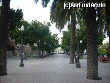 [P05] Faleza din Tarragona strajuita de palmieri » foto by sandu.53
 - 
<span class="allrVoted glyphicon glyphicon-heart hidden" id="av146913"></span>
<a class="m-l-10 hidden" id="sv146913" onclick="voting_Foto_DelVot(,146913,7677)" role="button">șterge vot <span class="glyphicon glyphicon-remove"></span></a>
<a id="v9146913" class=" c-red"  onclick="voting_Foto_SetVot(146913)" role="button"><span class="glyphicon glyphicon-heart-empty"></span> <b>LIKE</b> = Votează poza</a> <img class="hidden"  id="f146913W9" src="/imagini/loader.gif" border="0" /><span class="AjErrMes hidden" id="e146913ErM"></span>