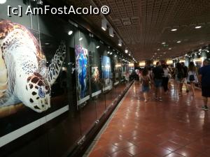 [P20] Din parcare urcăm la Oceanograf, dar ne întoarcem, nu vrem să intrăm de fapt » foto by crismis
 - 
<span class="allrVoted glyphicon glyphicon-heart hidden" id="av940800"></span>
<a class="m-l-10 hidden" id="sv940800" onclick="voting_Foto_DelVot(,940800,7768)" role="button">șterge vot <span class="glyphicon glyphicon-remove"></span></a>
<a id="v9940800" class=" c-red"  onclick="voting_Foto_SetVot(940800)" role="button"><span class="glyphicon glyphicon-heart-empty"></span> <b>LIKE</b> = Votează poza</a> <img class="hidden"  id="f940800W9" src="/imagini/loader.gif" border="0" /><span class="AjErrMes hidden" id="e940800ErM"></span>