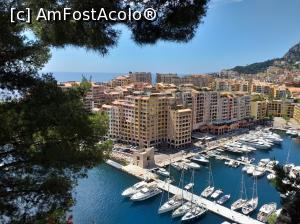 [P02] Cartierul şi parţial portul Fontvieille, de la Grădinile Saint-Martin » foto by irinad
 - 
<span class="allrVoted glyphicon glyphicon-heart hidden" id="av1104518"></span>
<a class="m-l-10 hidden" id="sv1104518" onclick="voting_Foto_DelVot(,1104518,7768)" role="button">șterge vot <span class="glyphicon glyphicon-remove"></span></a>
<a id="v91104518" class=" c-red"  onclick="voting_Foto_SetVot(1104518)" role="button"><span class="glyphicon glyphicon-heart-empty"></span> <b>LIKE</b> = Votează poza</a> <img class="hidden"  id="f1104518W9" src="/imagini/loader.gif" border="0" /><span class="AjErrMes hidden" id="e1104518ErM"></span>