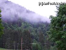 [P06] asta am vazut cand ne-am trezit dupa prima noapte petrecuta acolo! » foto by recul*
 - 
<span class="allrVoted glyphicon glyphicon-heart hidden" id="av151154"></span>
<a class="m-l-10 hidden" id="sv151154" onclick="voting_Foto_DelVot(,151154,7780)" role="button">șterge vot <span class="glyphicon glyphicon-remove"></span></a>
<a id="v9151154" class=" c-red"  onclick="voting_Foto_SetVot(151154)" role="button"><span class="glyphicon glyphicon-heart-empty"></span> <b>LIKE</b> = Votează poza</a> <img class="hidden"  id="f151154W9" src="/imagini/loader.gif" border="0" /><span class="AjErrMes hidden" id="e151154ErM"></span>