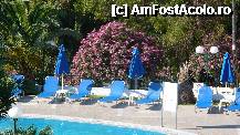 [P11] Piscina de langa receptie » foto by RODIANA
 - 
<span class="allrVoted glyphicon glyphicon-heart hidden" id="av216760"></span>
<a class="m-l-10 hidden" id="sv216760" onclick="voting_Foto_DelVot(,216760,7829)" role="button">șterge vot <span class="glyphicon glyphicon-remove"></span></a>
<a id="v9216760" class=" c-red"  onclick="voting_Foto_SetVot(216760)" role="button"><span class="glyphicon glyphicon-heart-empty"></span> <b>LIKE</b> = Votează poza</a> <img class="hidden"  id="f216760W9" src="/imagini/loader.gif" border="0" /><span class="AjErrMes hidden" id="e216760ErM"></span>