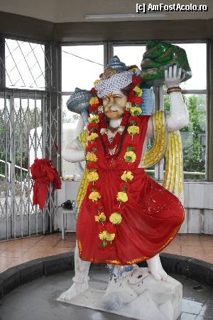 [P03] Hanuman - in mijlocul templului » foto by Pami*
 - 
<span class="allrVoted glyphicon glyphicon-heart hidden" id="av407307"></span>
<a class="m-l-10 hidden" id="sv407307" onclick="voting_Foto_DelVot(,407307,7864)" role="button">șterge vot <span class="glyphicon glyphicon-remove"></span></a>
<a id="v9407307" class=" c-red"  onclick="voting_Foto_SetVot(407307)" role="button"><span class="glyphicon glyphicon-heart-empty"></span> <b>LIKE</b> = Votează poza</a> <img class="hidden"  id="f407307W9" src="/imagini/loader.gif" border="0" /><span class="AjErrMes hidden" id="e407307ErM"></span>