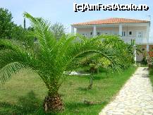[P02] Gradina vilei Nikos..P.S: in poze arata mai bine decat in realitate! » foto by FloryM
 - 
<span class="allrVoted glyphicon glyphicon-heart hidden" id="av236661"></span>
<a class="m-l-10 hidden" id="sv236661" onclick="voting_Foto_DelVot(,236661,7867)" role="button">șterge vot <span class="glyphicon glyphicon-remove"></span></a>
<a id="v9236661" class=" c-red"  onclick="voting_Foto_SetVot(236661)" role="button"><span class="glyphicon glyphicon-heart-empty"></span> <b>LIKE</b> = Votează poza</a> <img class="hidden"  id="f236661W9" src="/imagini/loader.gif" border="0" /><span class="AjErrMes hidden" id="e236661ErM"></span>