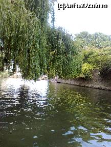 [P11]  -- <small>// FĂRĂ DESCRIERE</small> » foto by irma_ro*
 - 
<span class="allrVoted glyphicon glyphicon-heart hidden" id="av156416"></span>
<a class="m-l-10 hidden" id="sv156416" onclick="voting_Foto_DelVot(,156416,7883)" role="button">șterge vot <span class="glyphicon glyphicon-remove"></span></a>
<a id="v9156416" class=" c-red"  onclick="voting_Foto_SetVot(156416)" role="button"><span class="glyphicon glyphicon-heart-empty"></span> <b>LIKE</b> = Votează poza</a> <img class="hidden"  id="f156416W9" src="/imagini/loader.gif" border="0" /><span class="AjErrMes hidden" id="e156416ErM"></span>