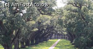[P15] Plantatia Oak Alley - o minunata culisa de film » foto by Pami*
 - 
<span class="allrVoted glyphicon glyphicon-heart hidden" id="av710560"></span>
<a class="m-l-10 hidden" id="sv710560" onclick="voting_Foto_DelVot(,710560,7909)" role="button">șterge vot <span class="glyphicon glyphicon-remove"></span></a>
<a id="v9710560" class=" c-red"  onclick="voting_Foto_SetVot(710560)" role="button"><span class="glyphicon glyphicon-heart-empty"></span> <b>LIKE</b> = Votează poza</a> <img class="hidden"  id="f710560W9" src="/imagini/loader.gif" border="0" /><span class="AjErrMes hidden" id="e710560ErM"></span>