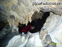 [P10] atentie la cap! » foto by petrus95
 - 
<span class="allrVoted glyphicon glyphicon-heart hidden" id="av155320"></span>
<a class="m-l-10 hidden" id="sv155320" onclick="voting_Foto_DelVot(,155320,7919)" role="button">șterge vot <span class="glyphicon glyphicon-remove"></span></a>
<a id="v9155320" class=" c-red"  onclick="voting_Foto_SetVot(155320)" role="button"><span class="glyphicon glyphicon-heart-empty"></span> <b>LIKE</b> = Votează poza</a> <img class="hidden"  id="f155320W9" src="/imagini/loader.gif" border="0" /><span class="AjErrMes hidden" id="e155320ErM"></span>