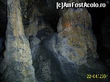 [P09] pestera comarnic » foto by petrus95
 - 
<span class="allrVoted glyphicon glyphicon-heart hidden" id="av155319"></span>
<a class="m-l-10 hidden" id="sv155319" onclick="voting_Foto_DelVot(,155319,7919)" role="button">șterge vot <span class="glyphicon glyphicon-remove"></span></a>
<a id="v9155319" class=" c-red"  onclick="voting_Foto_SetVot(155319)" role="button"><span class="glyphicon glyphicon-heart-empty"></span> <b>LIKE</b> = Votează poza</a> <img class="hidden"  id="f155319W9" src="/imagini/loader.gif" border="0" /><span class="AjErrMes hidden" id="e155319ErM"></span>