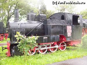 [P29] Fabricatie 1952, ecartament ingust destinat in special transportului de lemne (mocanita).  » foto by DanTal74
 - 
<span class="allrVoted glyphicon glyphicon-heart hidden" id="av601204"></span>
<a class="m-l-10 hidden" id="sv601204" onclick="voting_Foto_DelVot(,601204,7919)" role="button">șterge vot <span class="glyphicon glyphicon-remove"></span></a>
<a id="v9601204" class=" c-red"  onclick="voting_Foto_SetVot(601204)" role="button"><span class="glyphicon glyphicon-heart-empty"></span> <b>LIKE</b> = Votează poza</a> <img class="hidden"  id="f601204W9" src="/imagini/loader.gif" border="0" /><span class="AjErrMes hidden" id="e601204ErM"></span>