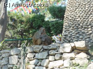 [P63] Kathmandu - La Templul Swayambhunath sau Templul Maimuțelor. » foto by iulianic
 - 
<span class="allrVoted glyphicon glyphicon-heart hidden" id="av1469366"></span>
<a class="m-l-10 hidden" id="sv1469366" onclick="voting_Foto_DelVot(,1469366,7929)" role="button">șterge vot <span class="glyphicon glyphicon-remove"></span></a>
<a id="v91469366" class=" c-red"  onclick="voting_Foto_SetVot(1469366)" role="button"><span class="glyphicon glyphicon-heart-empty"></span> <b>LIKE</b> = Votează poza</a> <img class="hidden"  id="f1469366W9" src="/imagini/loader.gif" border="0" /><span class="AjErrMes hidden" id="e1469366ErM"></span>