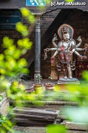 [P16] zeitate hindu » foto by buterfly*
 - 
<span class="allrVoted glyphicon glyphicon-heart hidden" id="av508270"></span>
<a class="m-l-10 hidden" id="sv508270" onclick="voting_Foto_DelVot(,508270,7929)" role="button">șterge vot <span class="glyphicon glyphicon-remove"></span></a>
<a id="v9508270" class=" c-red"  onclick="voting_Foto_SetVot(508270)" role="button"><span class="glyphicon glyphicon-heart-empty"></span> <b>LIKE</b> = Votează poza</a> <img class="hidden"  id="f508270W9" src="/imagini/loader.gif" border="0" /><span class="AjErrMes hidden" id="e508270ErM"></span>